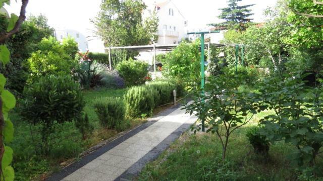 Dubravka Apartment *
