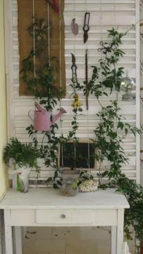 Apartment Dubravka Makarska